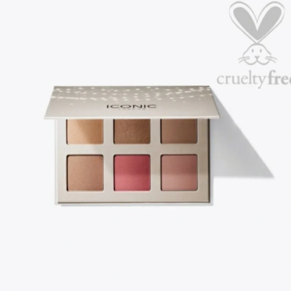 ICONIC London | Blaze Chaser Face Palette